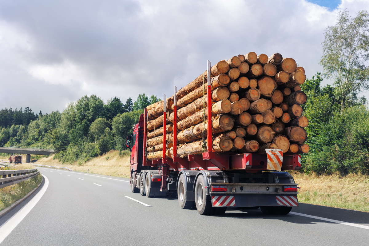 camion grumes bois