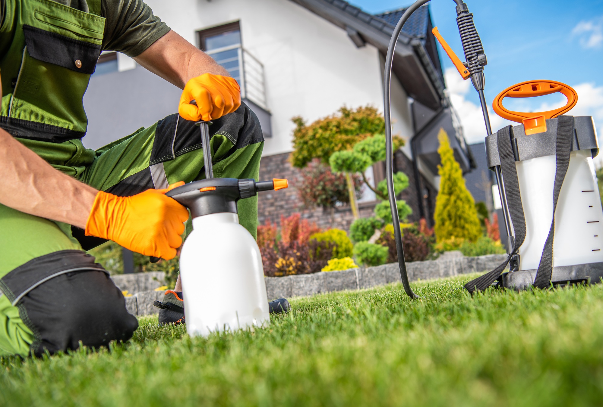 Back yard Garden Insecticide Job