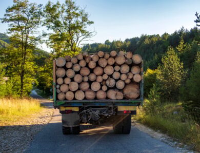 Tendances sur le prix d’un semi-remorque de bois de chauffage en 2m dans les landes