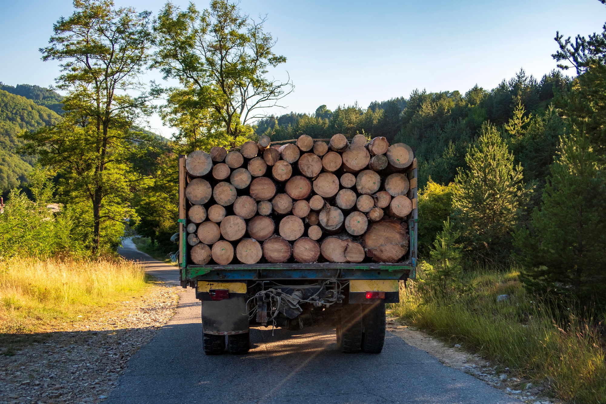 Tip truck transportation of sawn timber